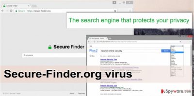 The picture of Secure-Finder.org virus