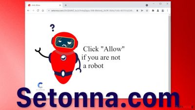 Setonna.com