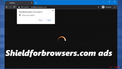 Shieldforbrowsers.com ads