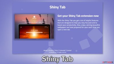 Shiny Tab