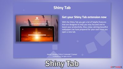 Shiny Tab