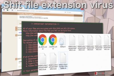 Image of the .Shit file extension virus