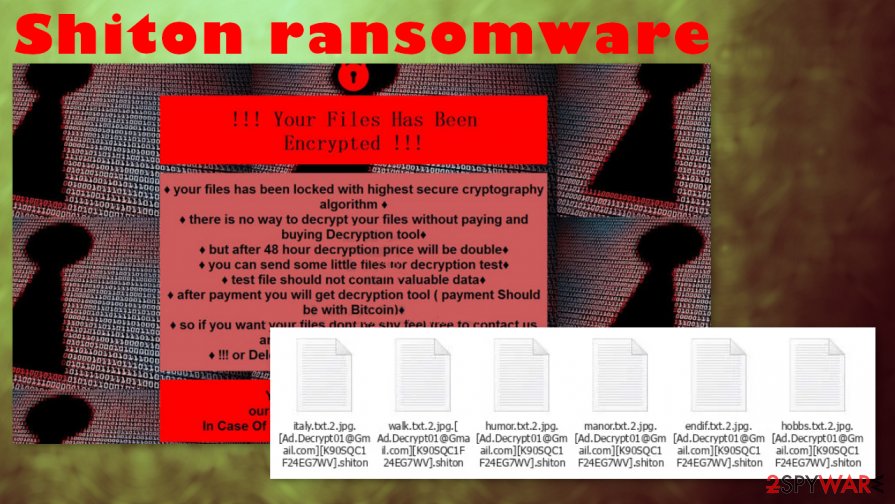 Shiton ransomware