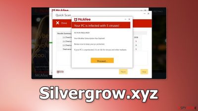 Silvergrow.xyz