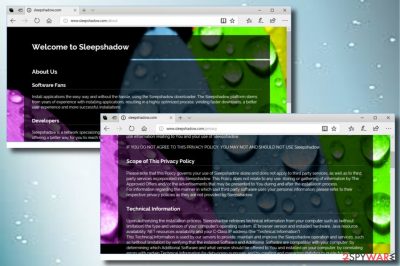 Sleepshadow.com hijack