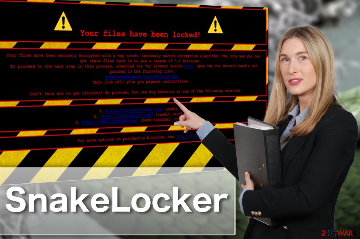 Image of the SnakeLocker virus 