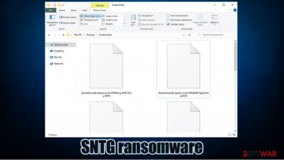 SNTG ransomware