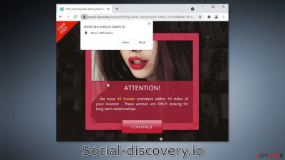 Social-discovery.io