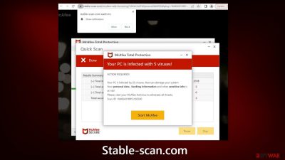 Stable-scan.com