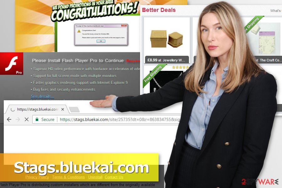 Image of Stags.bluekai.com virus