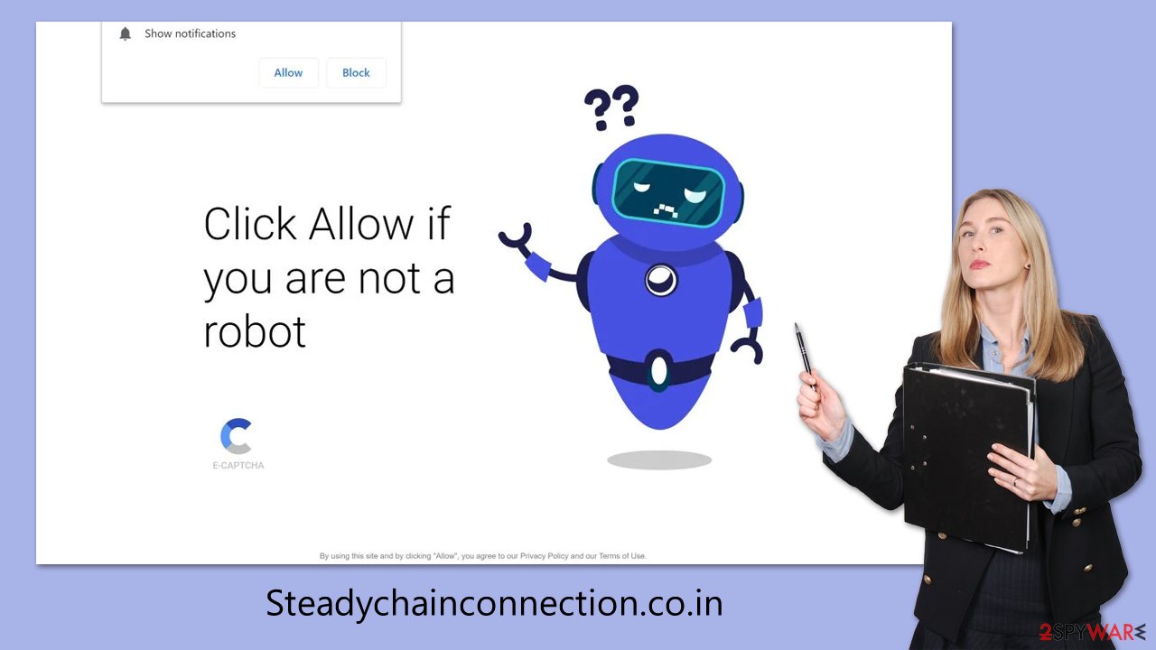 Steadychainconnection.co.in scam