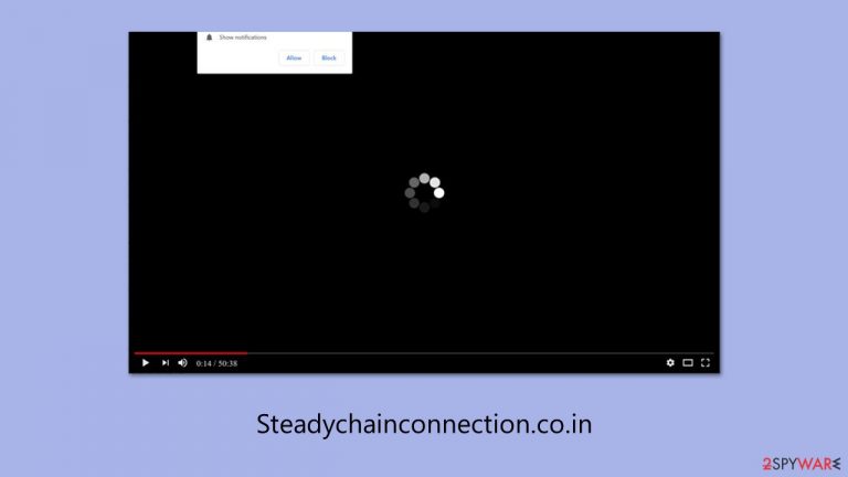Steadychainconnection.co.in