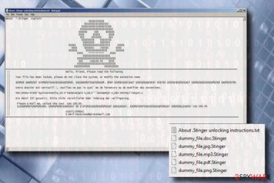 Stinger ransomware. Ransom note example