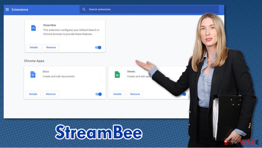 StreamBee hijack