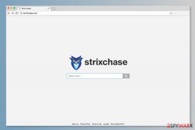 The screenshot of Strixchase.com site