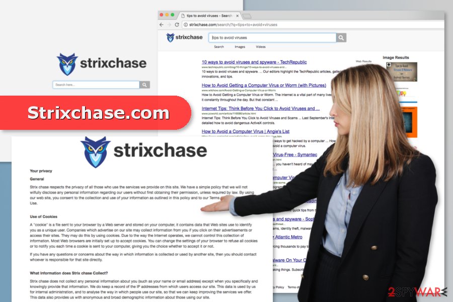 The picture of the Strixchase.com virus