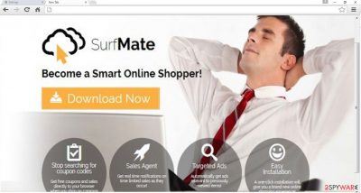 The image of SurfMate