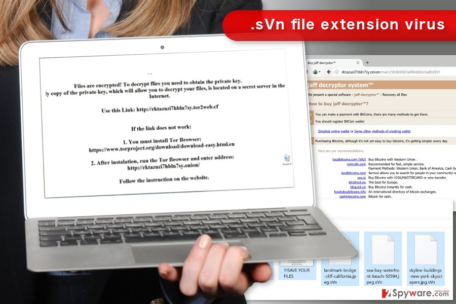 The picture of .sVn file virus