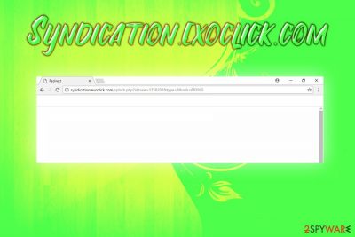 Syndication.exoclick.com