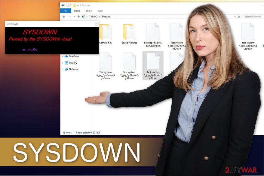 The illustration of SYSDOWN ransomware