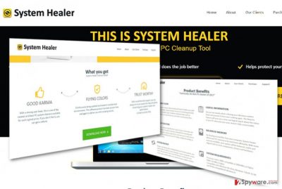 The image displaying System Healer 