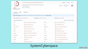 SystemCyberspace Mac virus