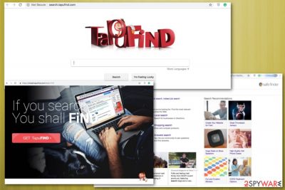 TapuFind fake search engine