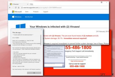Tecsupporter.com virus