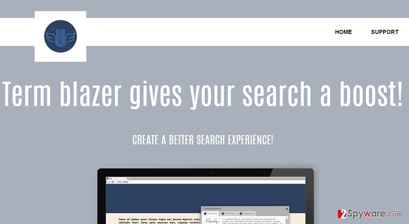TermBlazer ads TermBlazer ads