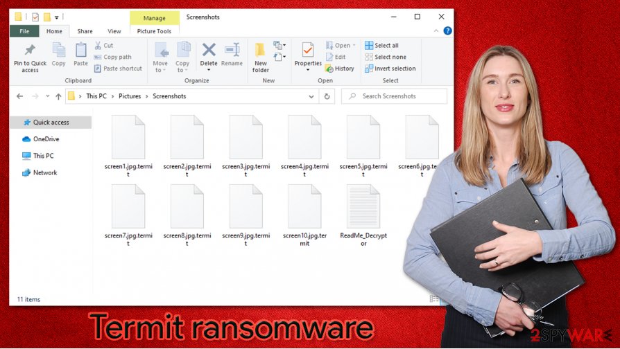 Termit ransomware virus