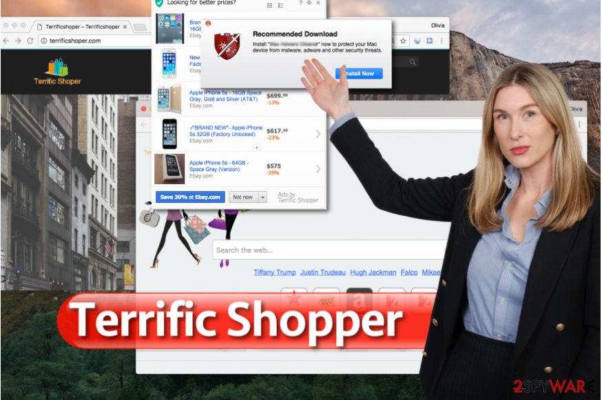 Terrific Shopper adware