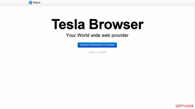 Tesla Browser