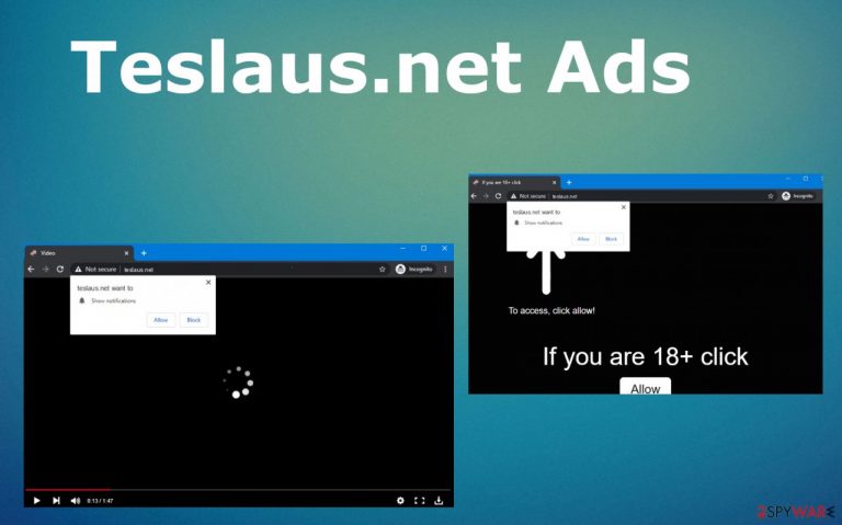 Teslaus.net