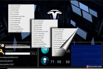 The image displaying TeslaWare