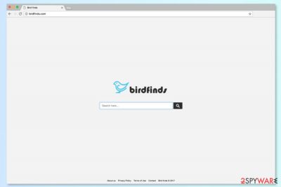 The screenshot of Birdfinds.com search engine