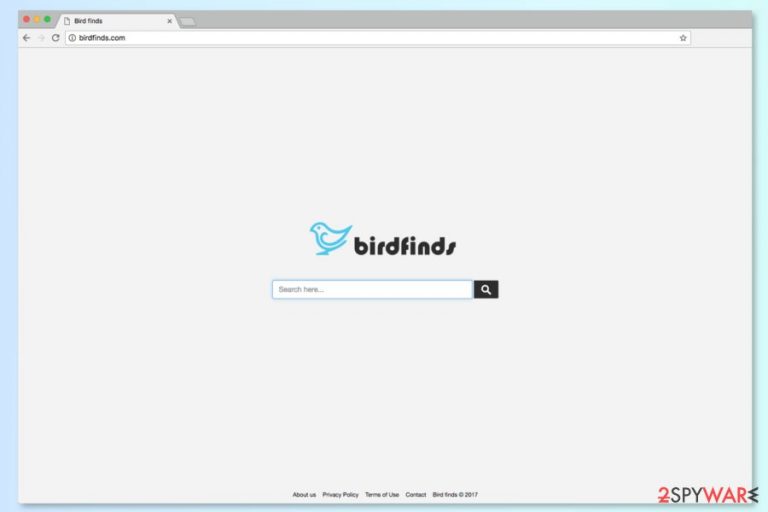 The screenshot of Birdfinds.com search engine
