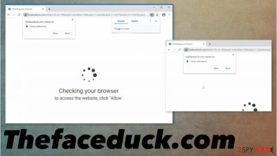 Thefaceduck.com