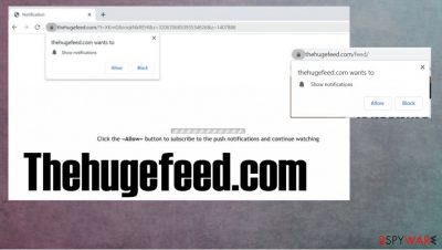 Thehugefeed.com