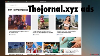 Thejornal.xyz