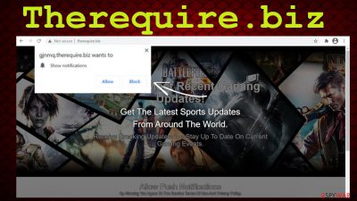 Therequire.biz redirect