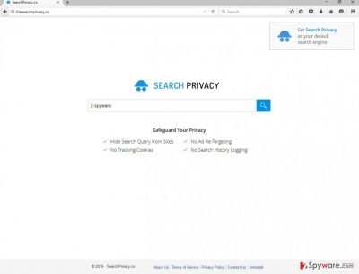 The picture of Thesearchprivacy.co virus
