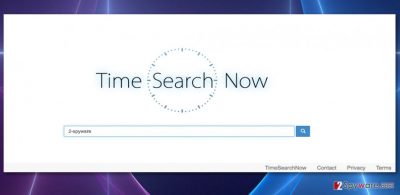 Picture of the Timesearchnow.com virus