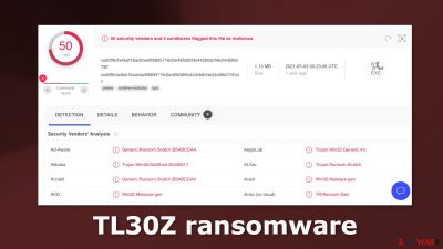 TL30Z ransomware
