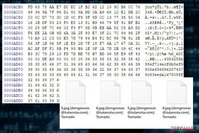 Showing Tornado ransomware