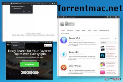 Torrentmac.net