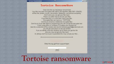 Tortoise ransomware