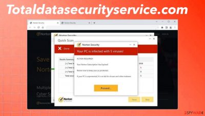 Totaldatasecurityservice.com