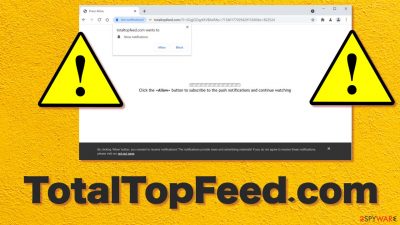 TotalTopFeed.com