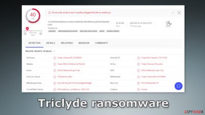 Triclyde ransomware