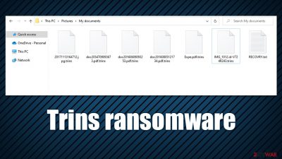 Trins ransomware